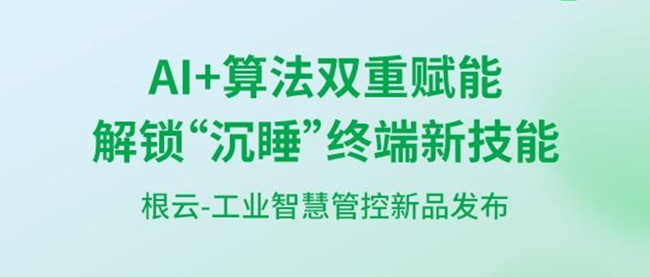 工業(yè)AI視覺分析